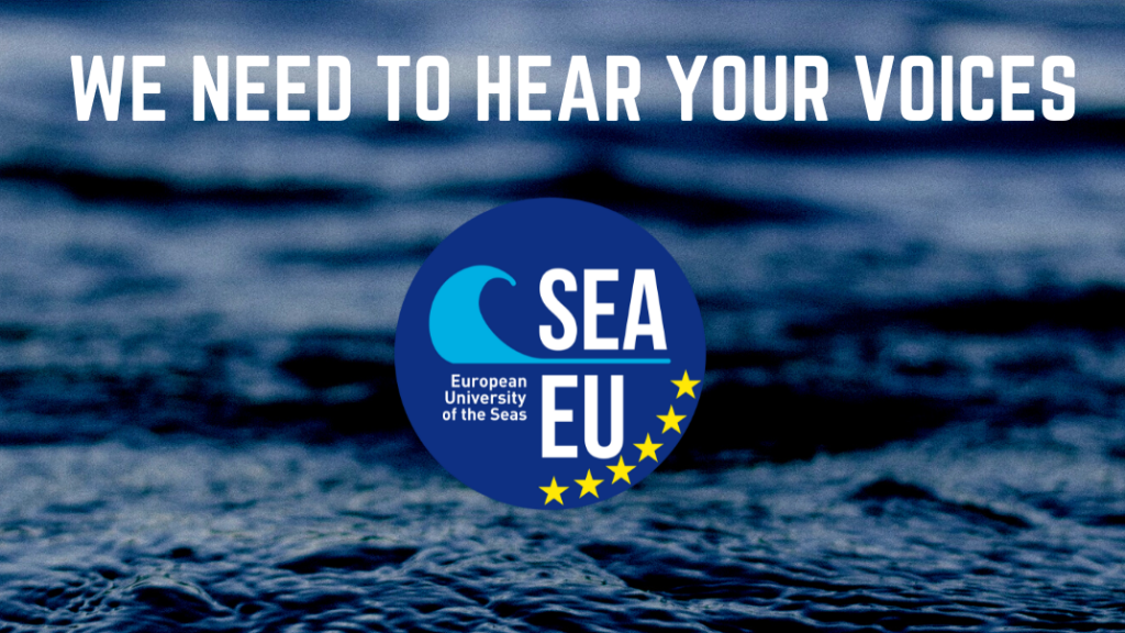 Upitnik u svrhu prikupljanja informacija za prijavu novog SEA-EU projekta